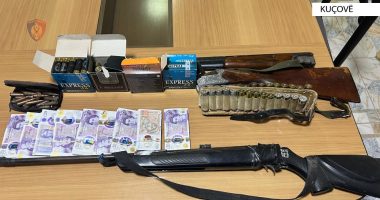 Kultivuan kanabis në Kuçovë/ Zbardhet veprimtaria kriminale e tre të rinjve, sekuestrohen armë e mijëra paund