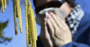 Ndryshimet klimatike shtojnë numrin e personave që vuajnë nga alergjitë