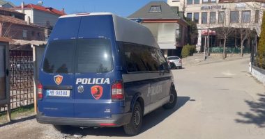 Vrasja e Progës, tjetër arrestuar/ Gjykata vendosi arrest në burg për Andi Shkullakun