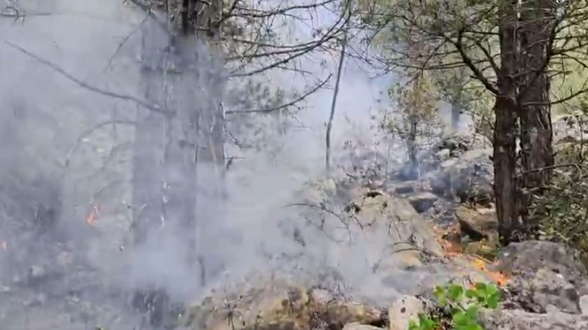 Vlorë/ Zjarri përfshin kodrat në Dukat, dyshohet i qëllimshëm