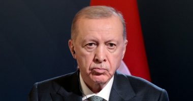 Lufta në Ukrainë/ Erdogan: Potencial për paqe pas propozimit rus