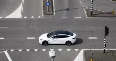 Shitjet e Tesla në Evropë në “rënie të lirë”