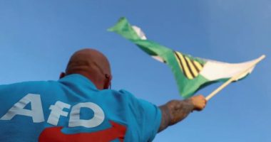 AfD klasifikohet si e djathtë ekstreme nga inteligjenca gjermane
