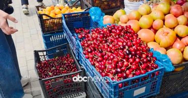 Moti dëmtoi frutat e stinës/ Fier, qershitë dhe kumbullat nuk gjenden në treg