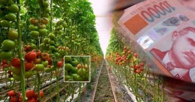 Skema e bujqësisë, sot afati i fundit/ Mbi 68 mijë aplikime nga fermerët për masat mbështetëse