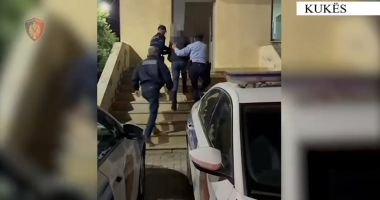 VIDEO/ Kultivuan bimë narkotike, arrestohet në Kukës edhe autori tjetër  