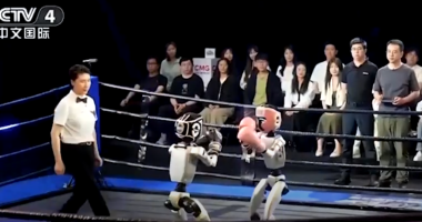 VIDEO/ Dy robotë humanoidë ngjiten në ring, zhvillohet kampionati i kikboksit