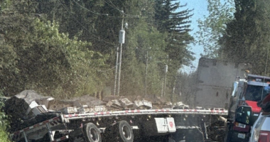 SHBA, kamioni me rreth 250 milionë bletë përmbyset në rrugë