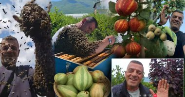 Dibrani i “çmendur” pas bletëve, prej 3 vitesh kujdeset për bletë