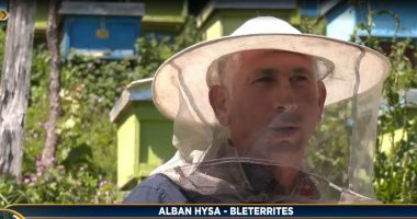 Çerek shekulli me mjaltë/ Bletërritësi nga Shëngjergji: Këtë vit tregun e kam të siguruar