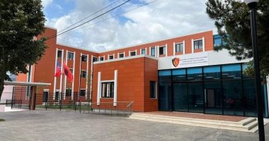 Vodhi para dhe 2 telefona në një banesë, arrestohet 28-vjeçari në Bulqizë