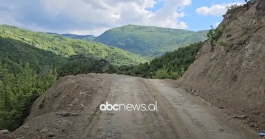 Rrëshqitja masive e dheut me dy viktima në Gramsh/ Një i arrestuar
