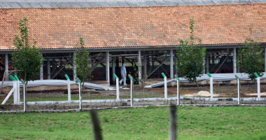 Brazilit i ndalohet të eksportojë mish dhe shpendë në BE, për shkak të gripit të shpendëve