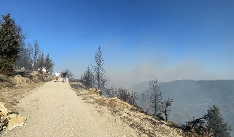 Zjarri masiv në Vlorë/ Evakuohen dy banesa, dëme në varrezat e fshatit Hoshtimë. Vijon ndërhyrja nga ajri