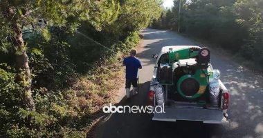 Dezinsektimi në Lezhë/ Nis lufta kundër mushkonjave në parqe e laguna