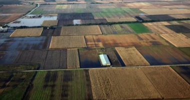 SKEMA/ Mashtrime me subvencionet në bujqësi, BE gjobit Greqinë me 400 milionë euro