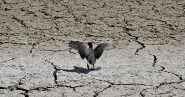 Europa përjeton pranverën më të thatë, maji shënon temperaturat më të larta globale