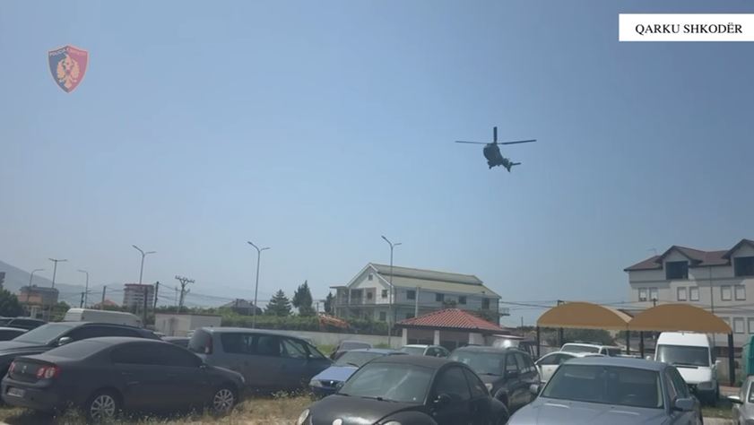 “Koordinata”, gjenden 19 739 fidanë kanabis sativa në qarkun e Shkodrës, mister pronarët e parcelave