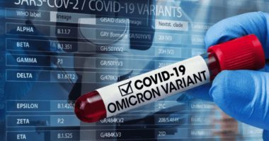 Studimi/ Covid-19 përshpejtoi plakjen e trurit, më e theksuar te burrat