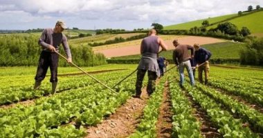 Fermerët përdorin preparate biologjike/ Rritja e bimëve në mënyrë organike, mbrojtje për konsumatorin