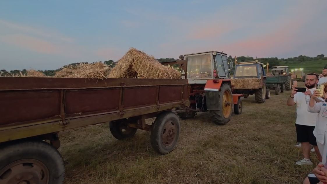 Festa e grurit në Fier/ Panair i traditës shekullore të Myzeqesë, promovim i prodhimit vendas
