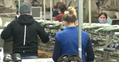 Aksioni antiinformalitet në tregun e punës/ Inspektoriati Shtetëror i Punës: Kontrollohen mbi 23 mijë vende pune