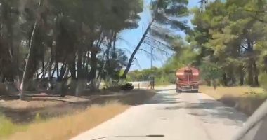 VIDEO/ Zjarri në Zvërnec, përfshiu sipërfaqe të konsiderueshme toke