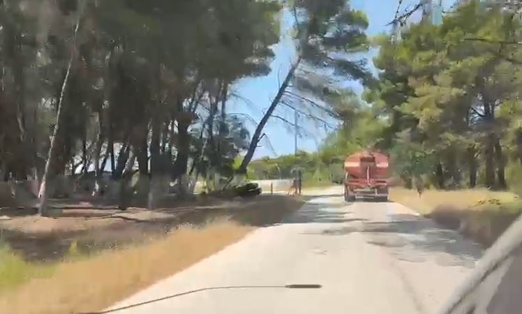 VIDEO/ Zjarri në Zvërnec, përfshiu sipërfaqe të konsiderueshme toke