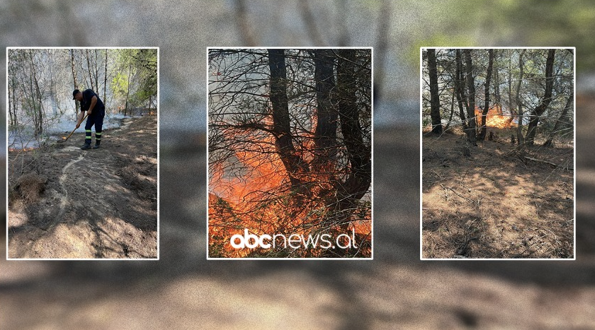 Riaktivizohet zjarri në Darëzezë/ Ndërhyrja me ujë, vjen helikopter cougar