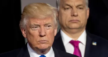 Hungaria mund të goditet rëndë nga tarifat e SHBA-së pavarësisht marrëdhënieve të ngrohta Trump-Orban