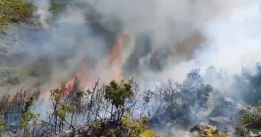 VIDEO/ Zjarri në Selenicë, forcat e ushtrisë të angazhuar në terren, ndërhyhet edhe me helikopter