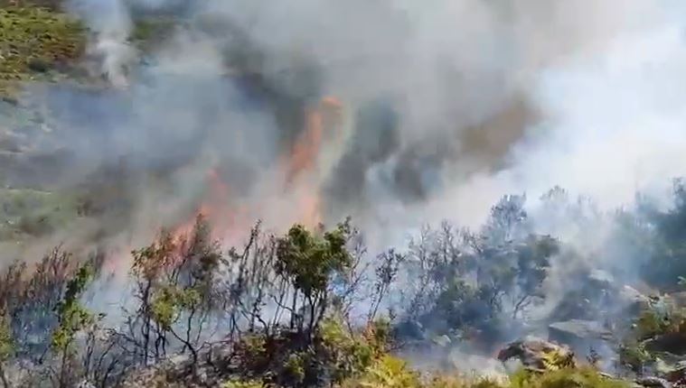13 vatra zjarresh aktive/ Qindra hektarë të djegura, flakët kërcënojnë banesa e parqe kombëtare
