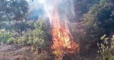 Shuhet zjarri në Drenovë/ Digjet 100 hektarë sipërfaqe, zjarrfikësit “luftë” për tre ditë