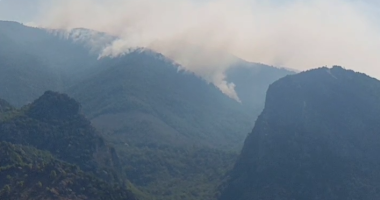 VIDEO/ Përfshihet nga zjarri masivi pyjor në Shkopet