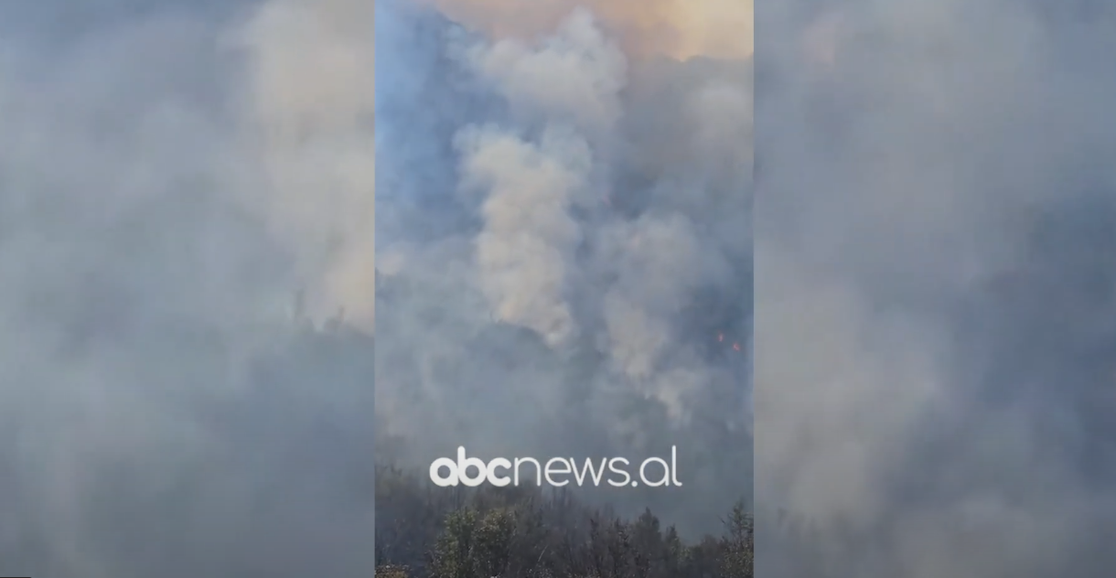 VIDEO/ Zjarr i përmasave të mëdha në Parkun Kombëtar të Prespës