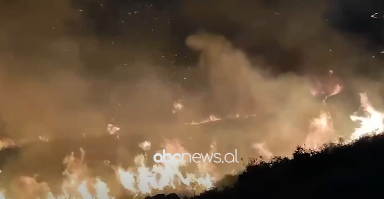 VIDEO/ Flakët “gllabërojnë” malin e Borshit, situatë e rëndë dhe në Shashicë