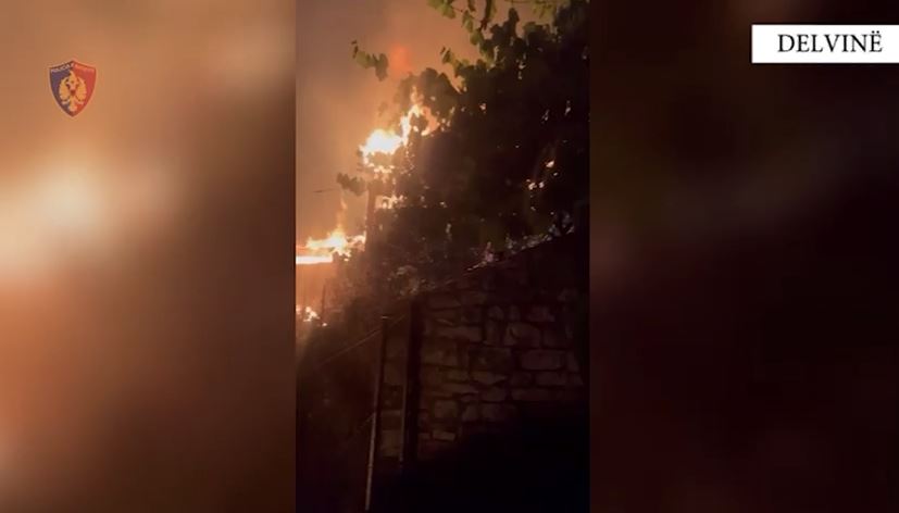 Delvinë/ Ndezën zjarr në një zonë të pyllëzuar në fshatin Kalasë, nën hetim 3 autorët e dyshuar