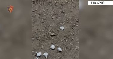 Shpërndante doza droge të forta/ Pranga 26-vjeçarit në Kamëz