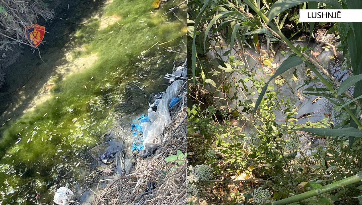 Ndoti ujërat e kanalit kullues Lushnje  procedohet pronari i fabrikës së peshkut