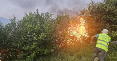 VIDEO/ Zjarri përfshin malin e Moravës, dyshohet i qëllimshëm