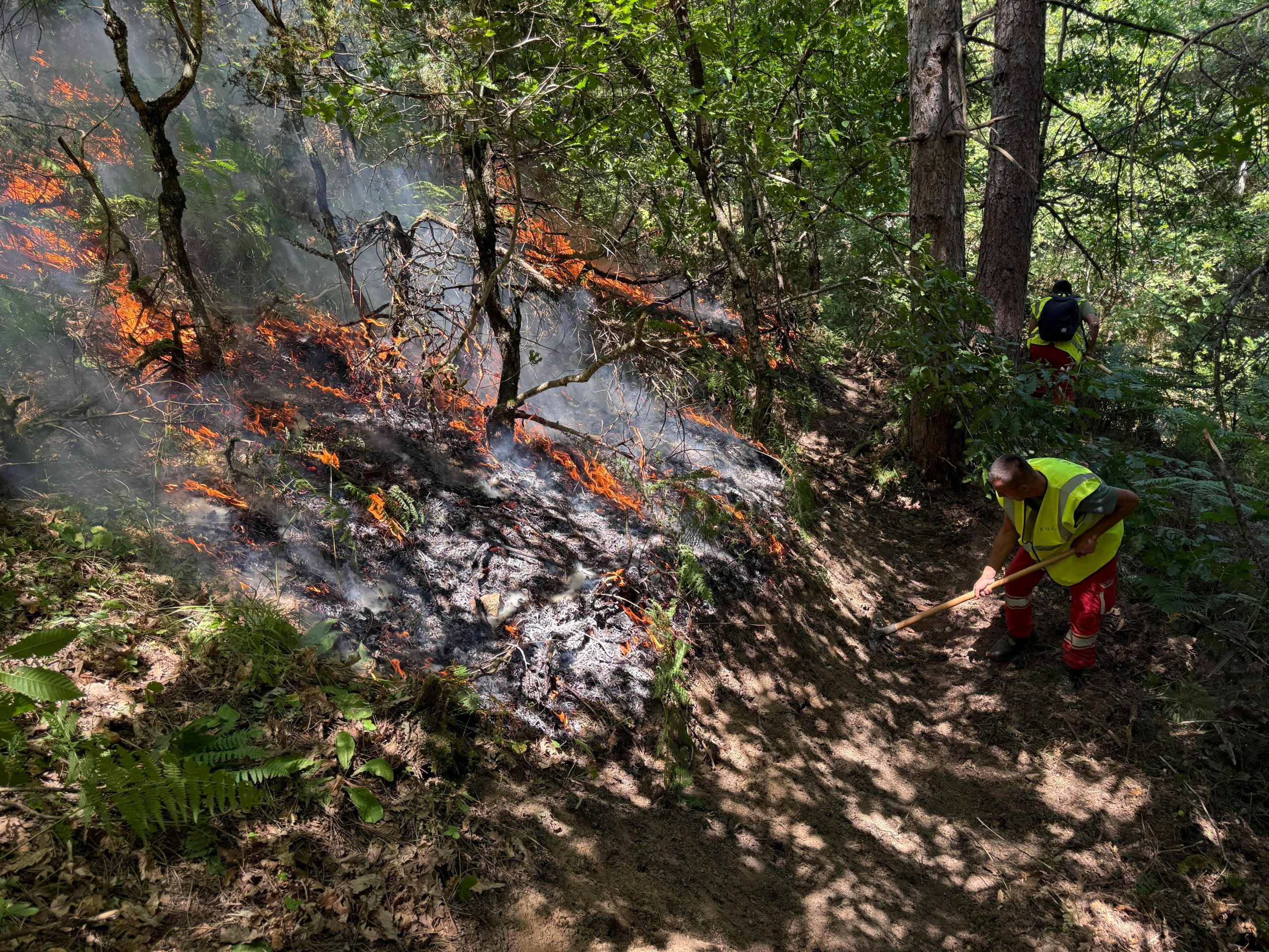 Elbasan/ Zjarri aktiv prej ditësh, për shuarjen e vatrave angazhohen 90 forca operacionale