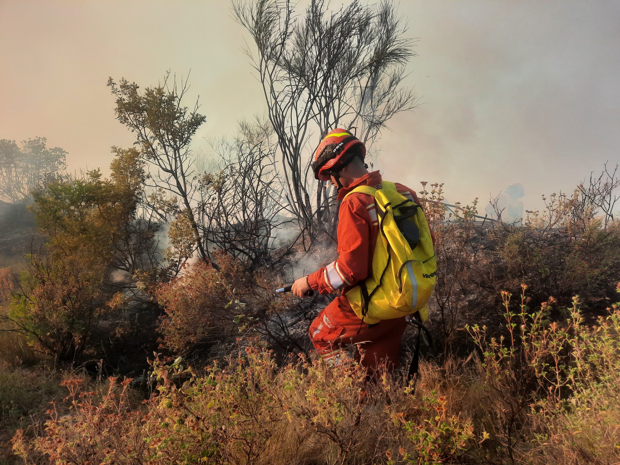Situata e zjarreve në vend/ Ministria e Mbrojtjes: Në 24 orë 17 vatra zjarri, 4 janë ende aktive