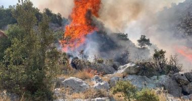 Shqipëria “përpihet” nga flakët/ Në 24 orë 38 vatra zjarri