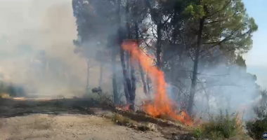 Situata me zjarret, Ministria bën bilancin: 29 vatra në 24 orët e fundit, 10 prej tyre ende aktive