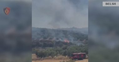Ndezi zjarr në tokën e tij, por flakët përfshinë sipërfaqe me ullinj dhe pyjore në Belsh, arrestohet 64-vjeçari