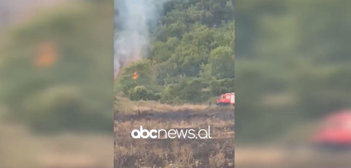 VIDEO/ Vihen në kontroll zjarret që përfshinë fshatrat në Gjirokastër
