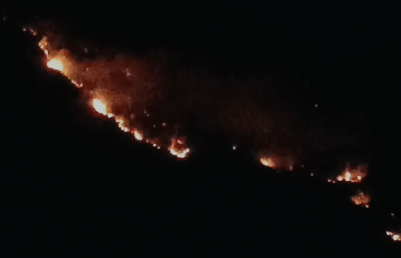 Zjarret në Gjirokastër, rrezikohet zona e mbrojtur e Piksit