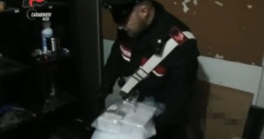 Goditet Ndrangheta/ Europol, operacion antidrogë, arrestohen edhe shqiptarë