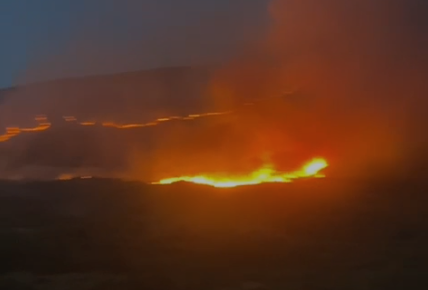 Shuhet zjarri në fshatin Shalës, vetëm një vatër aktive në Konispol