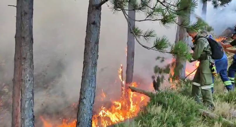 VIDEO/ Vijon prej dy ditësh zjarri në malin e Dukatit, terreni vështirëson ndërhyrjen në zonë